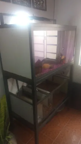 Aquário Top 600 litros