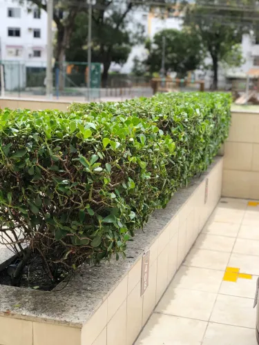Jardinagem