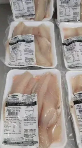Filé de Tilapia