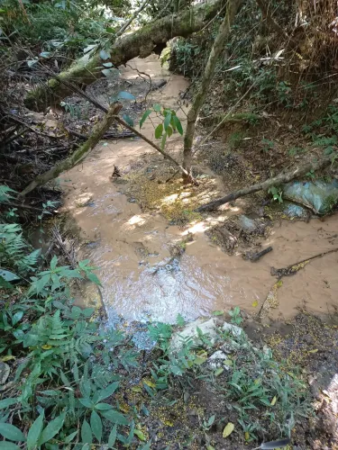 Sitio bairro Viracopos (fazendinha)
