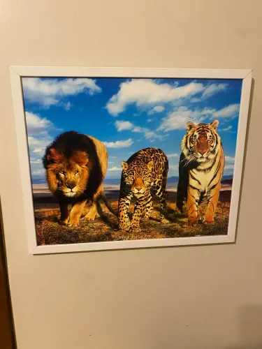 Quadro pequeno com animais selvagens