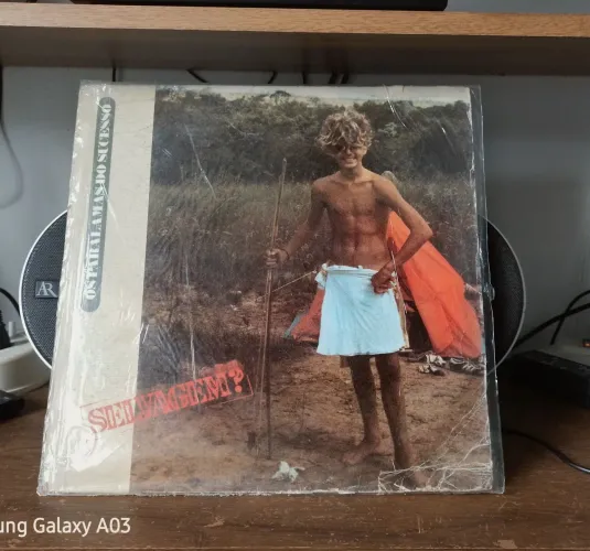 Os Paralamas do Sucesso Selvagem? em vinil