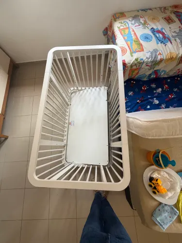 Berço evolutivo
