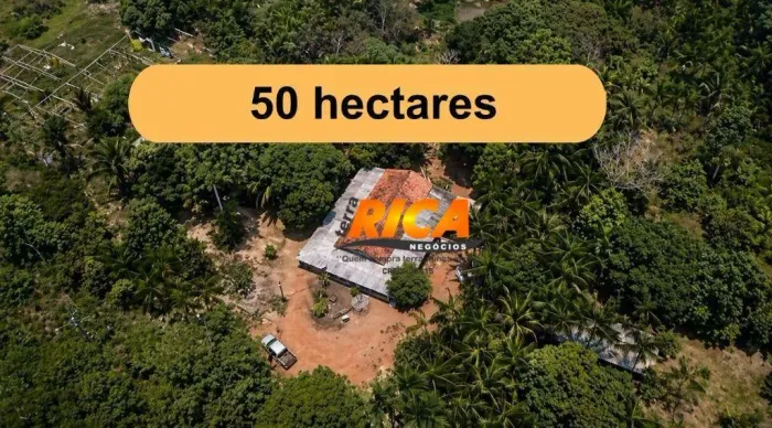 Excelente Sitio à venda, com 50 hectares na área rural de Porto Velho/RO
