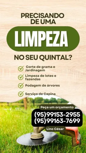 Limpamos quintal 