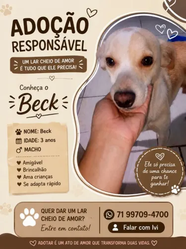 Doa se cachorro
