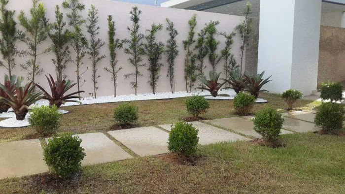Grama Paisagismo Manutenção Plantas