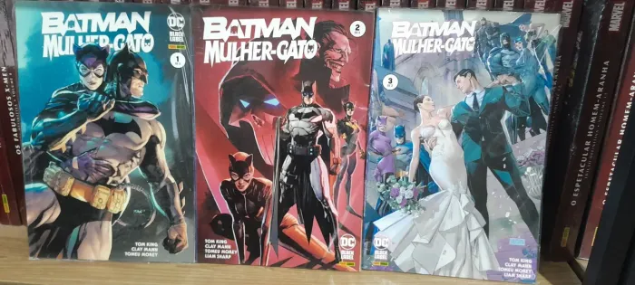 Hq Batman Mulher Gato vol 1,2 e 3 por Tom King DC Panini