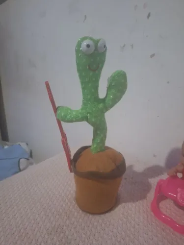 Cacto dançante