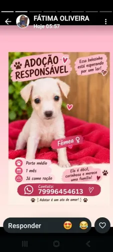 Belíssima Filhote!!!