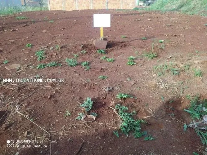 Terreno para Venda em Cambé, Jardim Paraná
