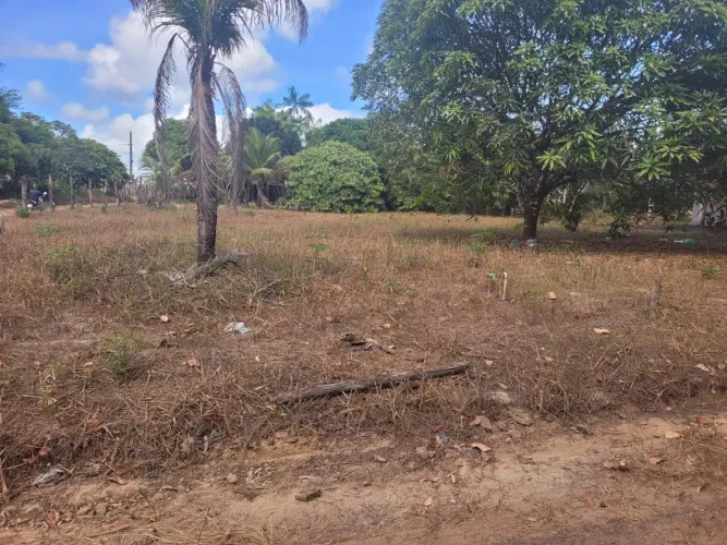 Terreno amplo no município vila Nazaré em Salinopolis Pa