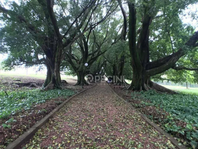 Terreno à venda no Campos do Conde em Rio Claro.