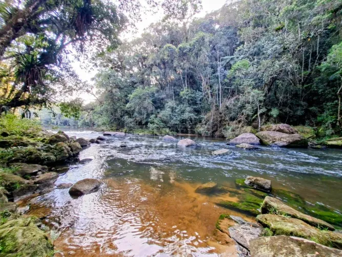 SITIO RURAL em JUQUITIBA - SP, Centro