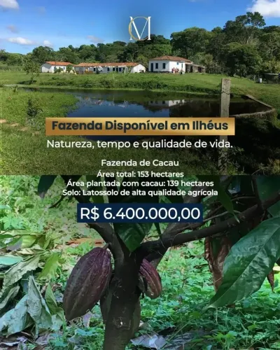 Oportunidade- Fazenda de Cacau em Ilhéus