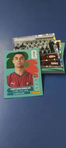 Lote figurinhas 
