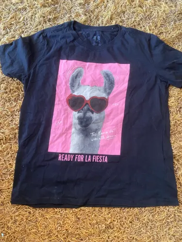 Camiseta Estampa Lhama Nunca Usada