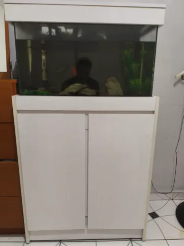 Aquário de 120 litros com móvel e aquipamentos