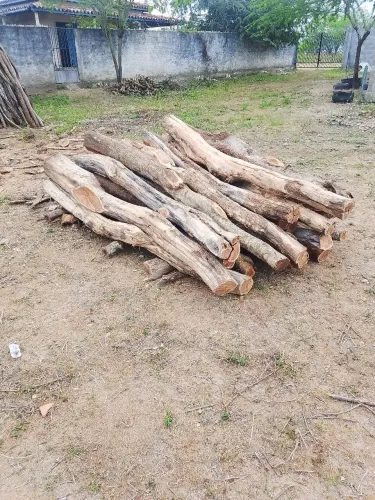 Estacas