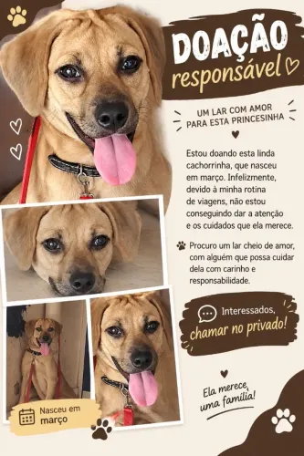 Doação responsável