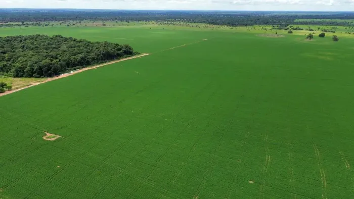 Fazenda a venda, em Nova Crixas - Goias!