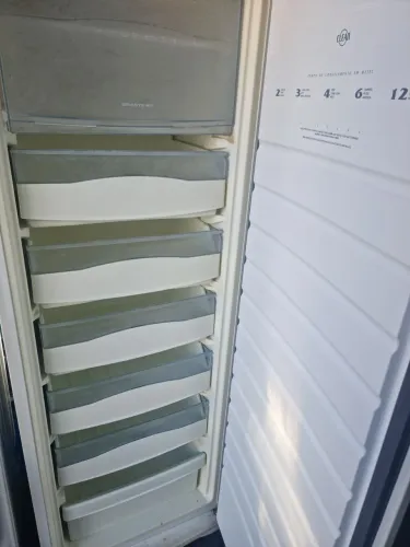 Freezer vertical