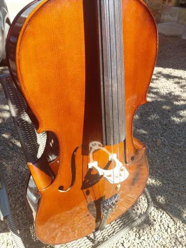 Violoncelo Eagle CE200