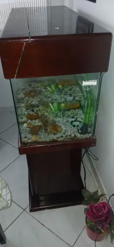 Vendo Aquário semi novo