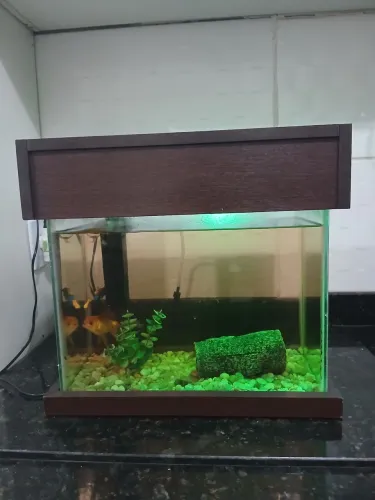 Vendo aquário 