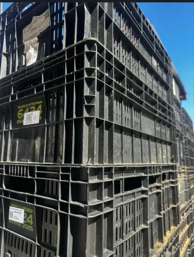 Caixa 6424 Ceasa 16.5 hortifruti organizadora grade preta 