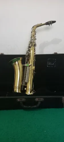 Saxofone weril