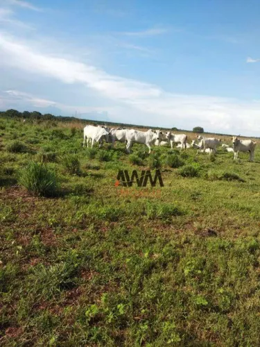 Fazenda à venda, m² por R$ 200.000.000,00 - Zona Rural - Duerê/TO