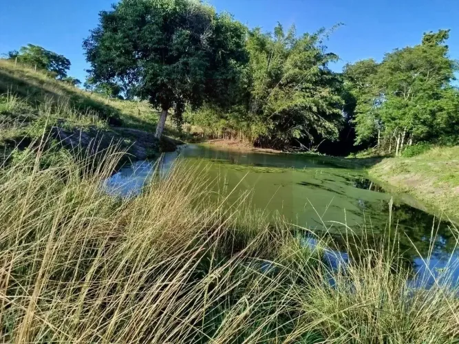 Área com 84.000,00m² em Banqueiros, São Vicente de Paulo