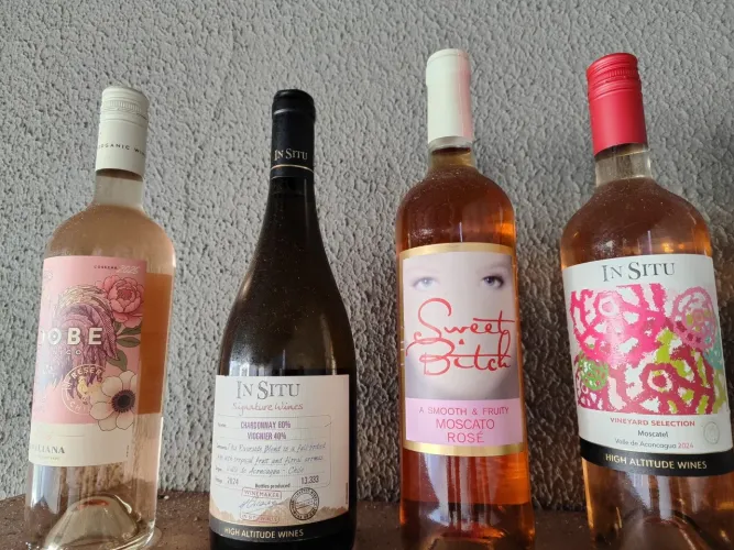 Vinhos 