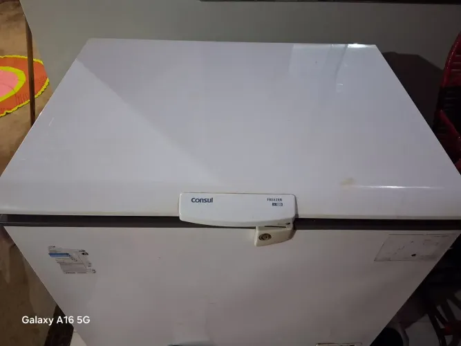 ALUGUEL DE FREEZER CONSUL DE 305 LITROS 