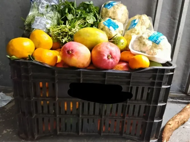 Feira Mista