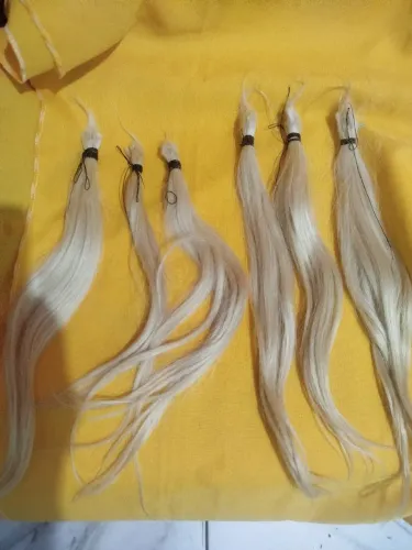 Cabelo Humano Loiro 117 gramas.