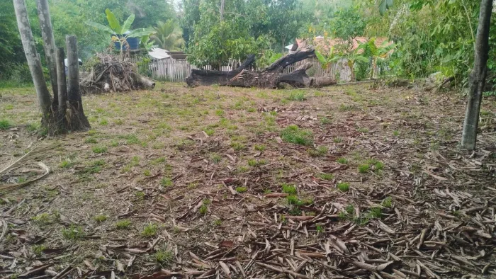 Vendo terreno medindo 10x25 no bairro floresta sul polo Geraldo mesquita