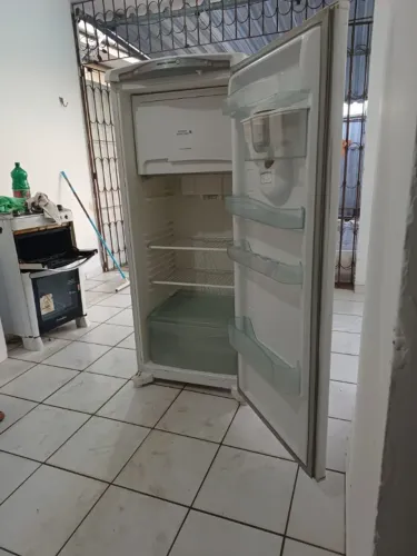 Geladeira degelo seco 310lts 