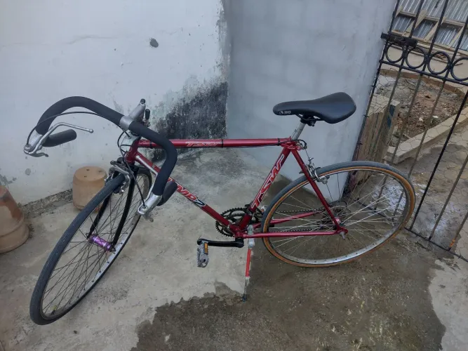 Monark 10