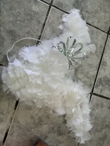 Kit coroação - Asas de anjo e coroa