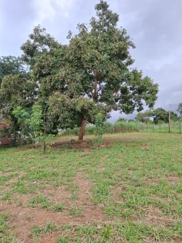 Lote corumbá IV condomínio Porto Real