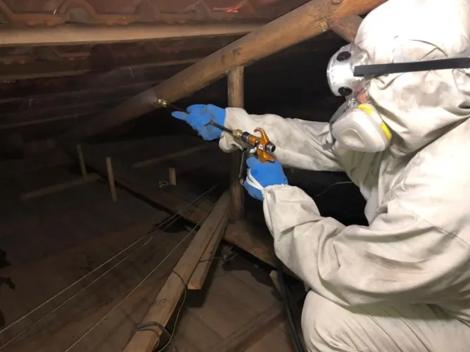 Descupinização+limpeza de uma caixa d'água de brinde por 169,99