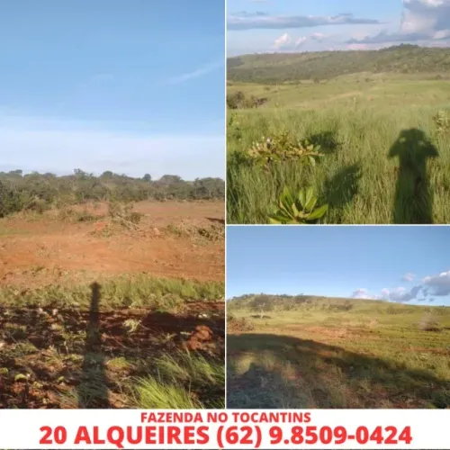 Fazenda Chacara Sitio Cidade Porto Nacional Estado Tocantins 20 Alqueires Plantação e Gado