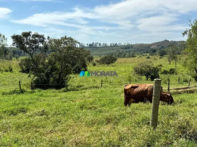FAZENDA À VENDA - 120 HECTARES - BAMBUÍ (MG)