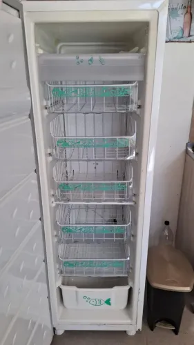 Freezer Consul Vertical