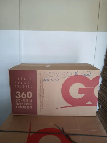 Caixa de papelao para mudanças