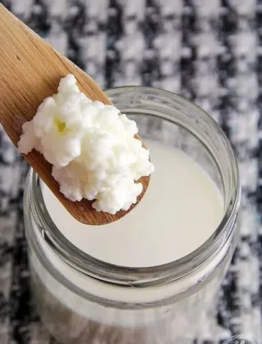 Doação - Kefir de LEITE - SÓ OUTUBRO AGORA