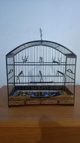 Gaiola De Passeio