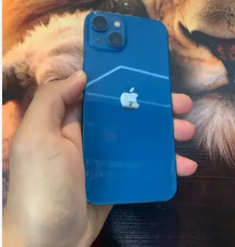 iPhone 13